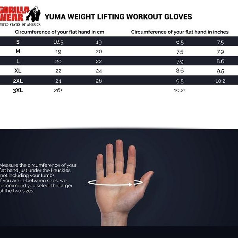 Gorilla Wear - Yuma Weight Lifting Gloves 